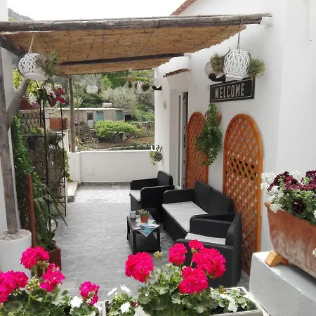 La Necussella